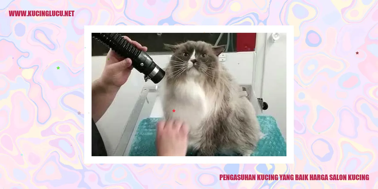 Gambar Kucing yang Sehat dan Bahagia
