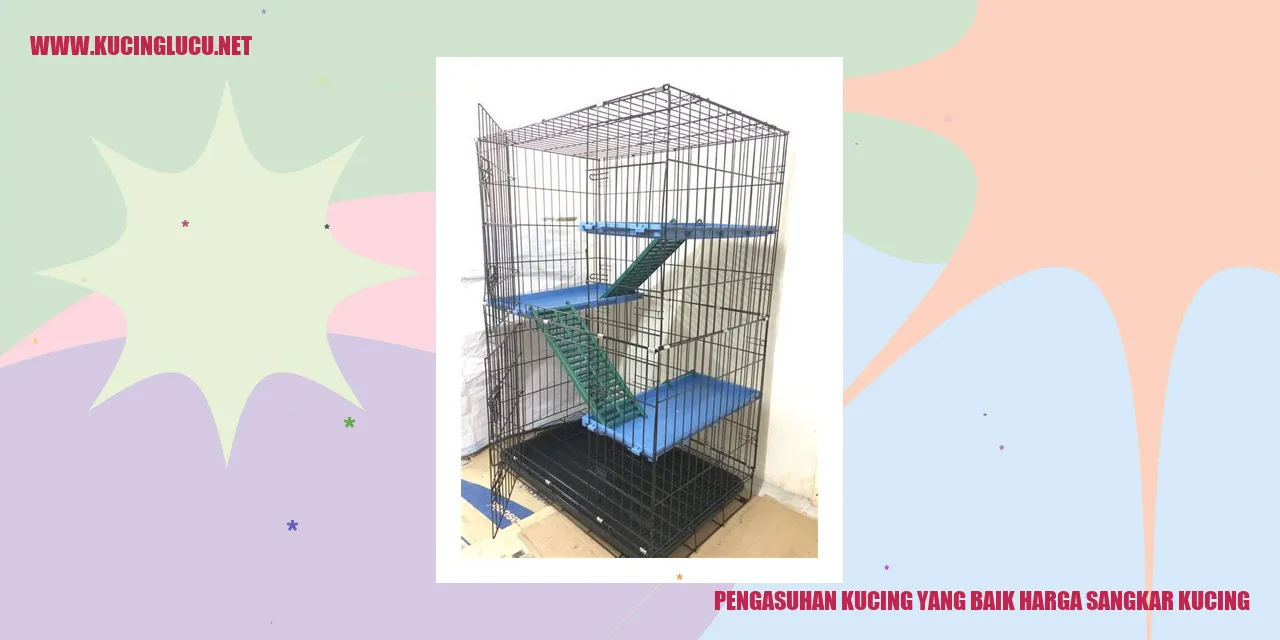 Gambar Kucing Terawat