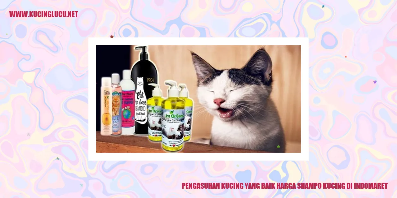 Gambar Kucing Lucu