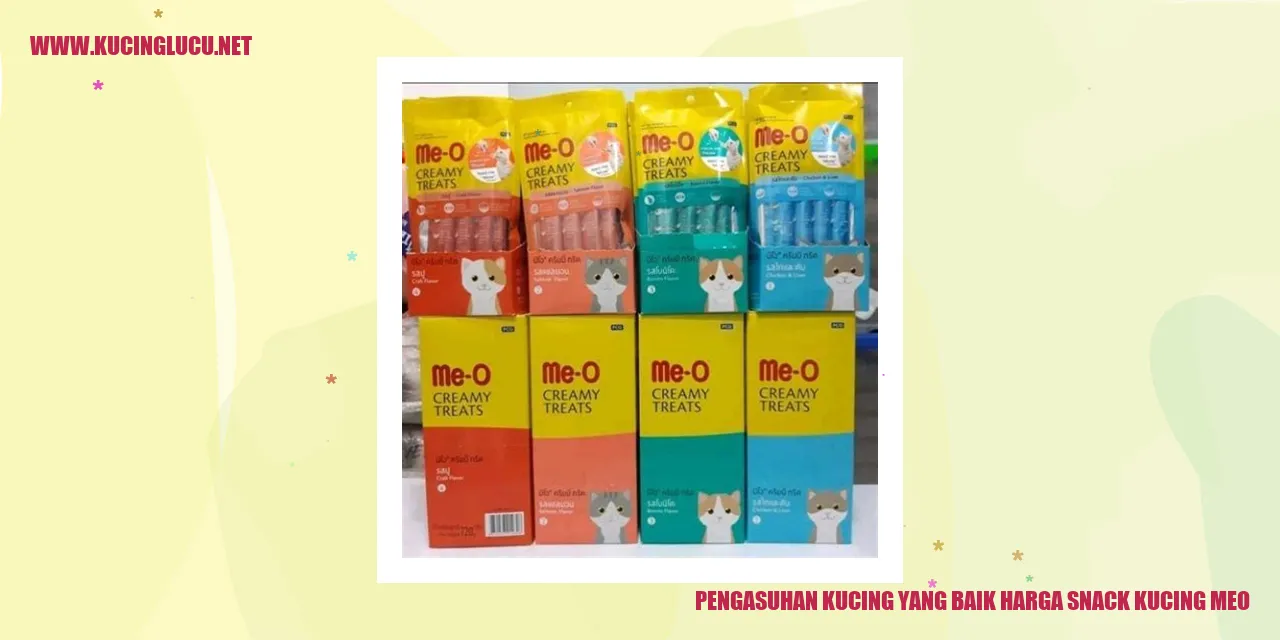 Gambar Lucu Kucing