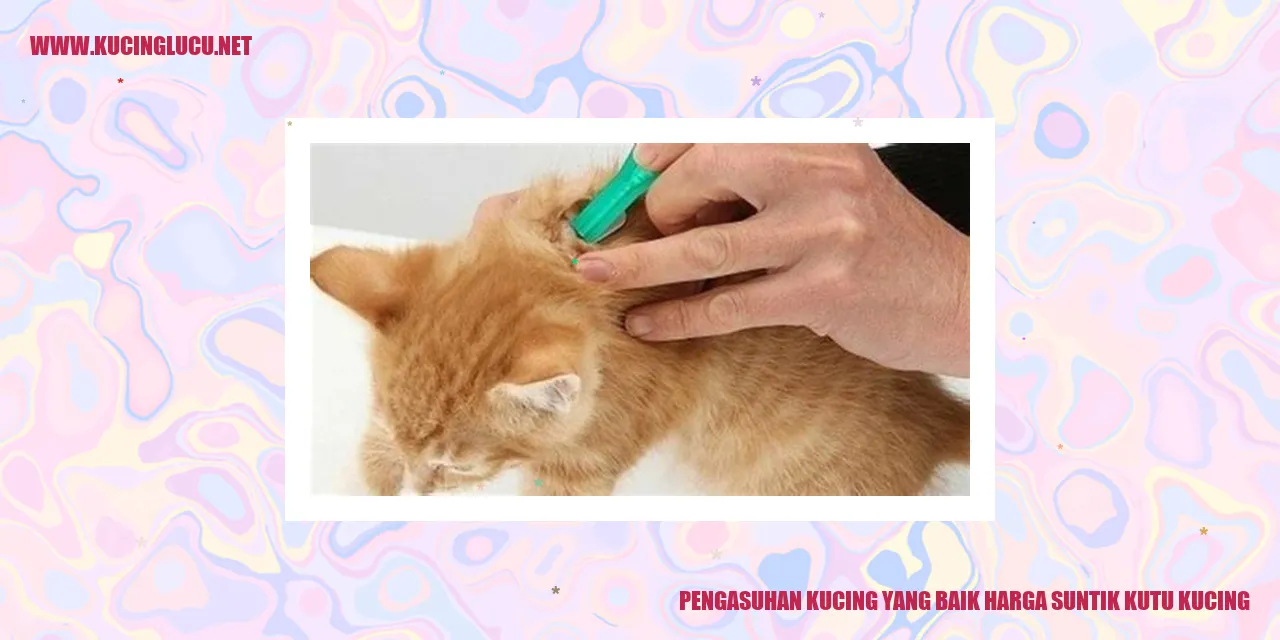 Gambar Kucing
