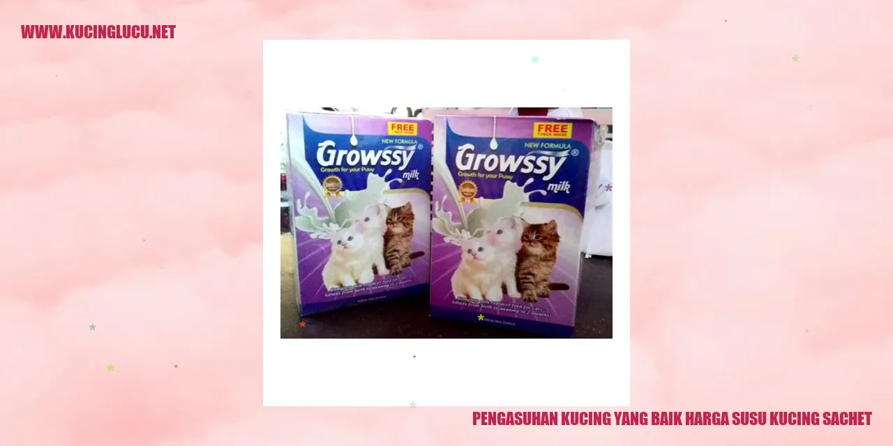 gambar kucing