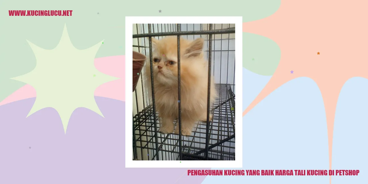Ilustrasi Kucing