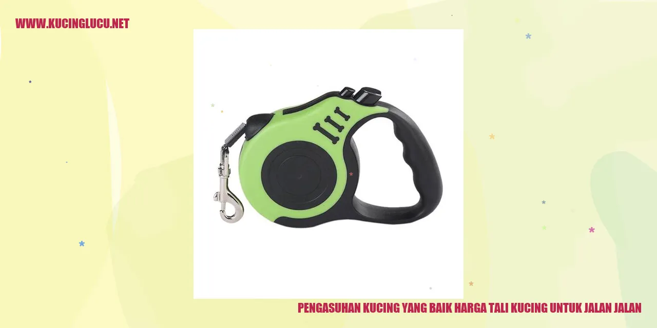 Kucing dan tali untuk jalan-jalan
