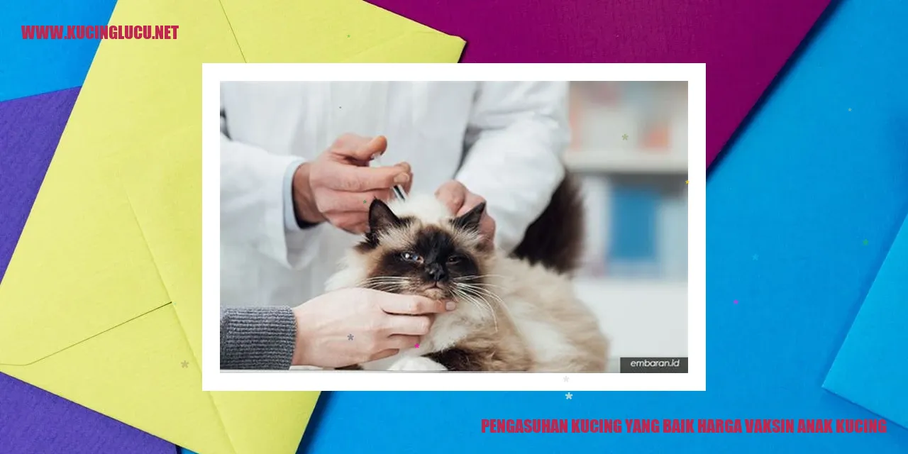 Gambar Kucing