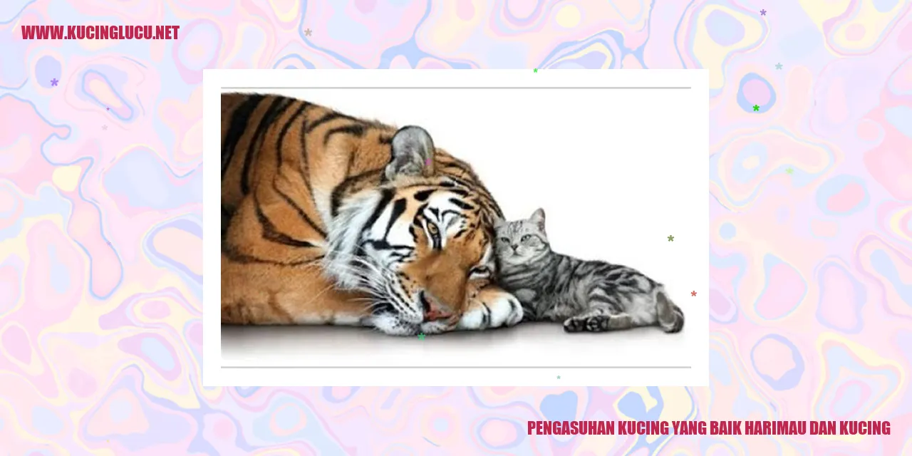 Gambar Kucing