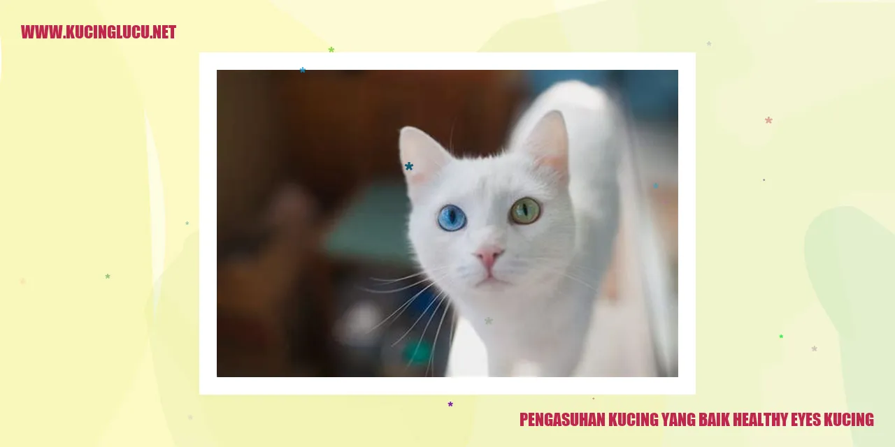 Ilustrasi kucing sehat