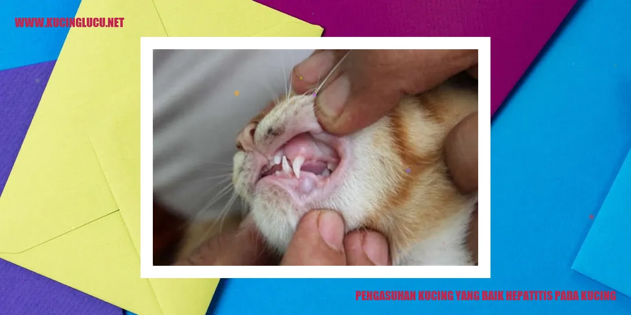 Kucing yang Sehat dan Bahagia