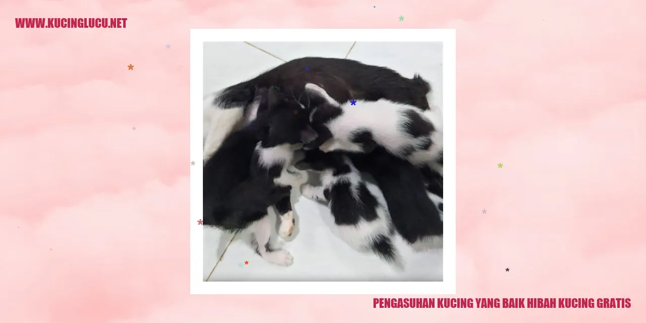 Kucing Menggemaskan