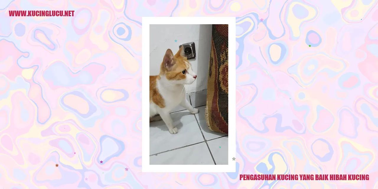 Kucing menikmati mainan
