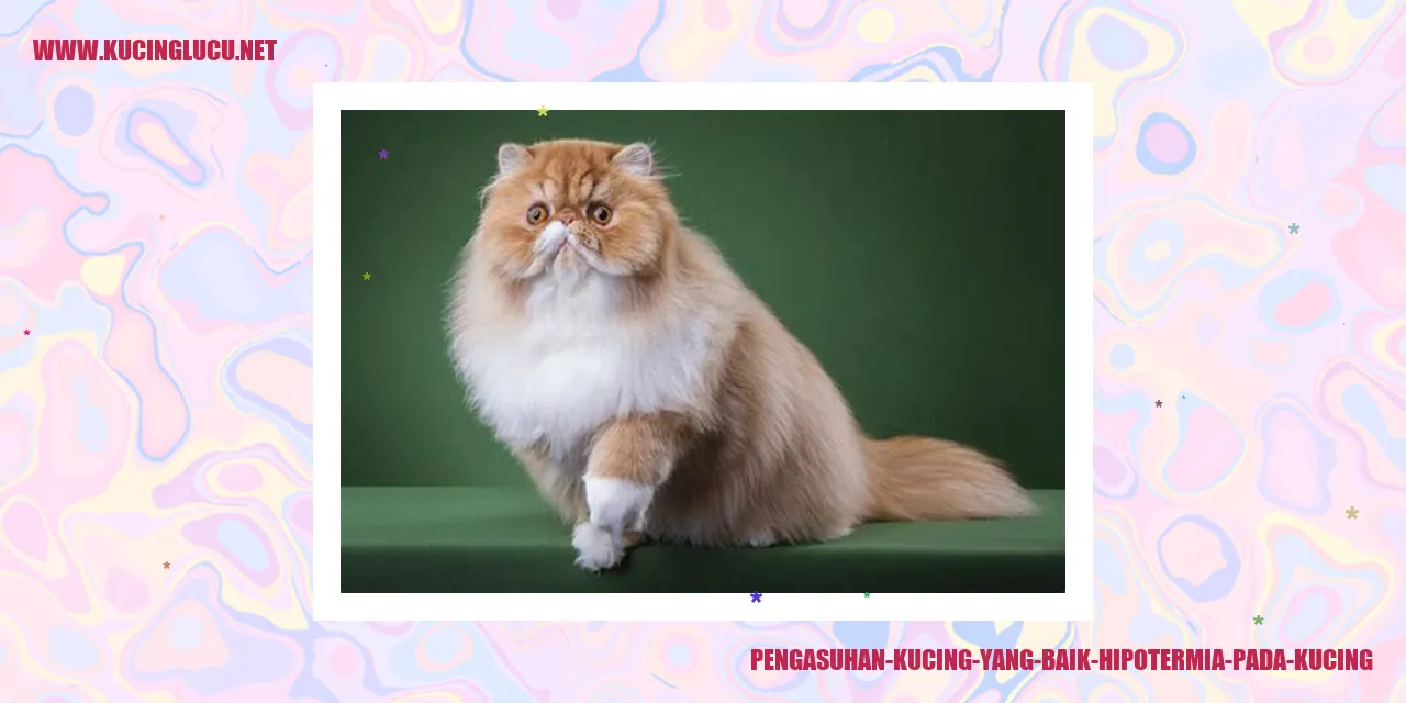 Pengasuhan Kucing yang Baik hipotermia pada kucing