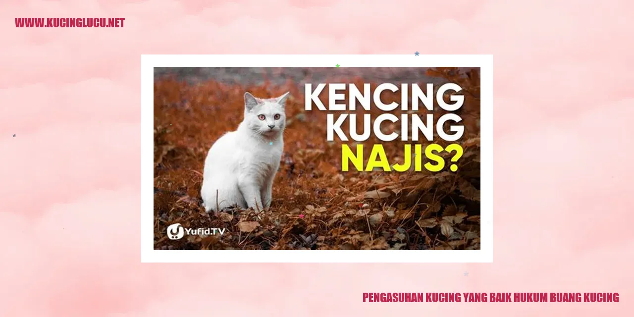 Foto menggemaskan seekor kucing