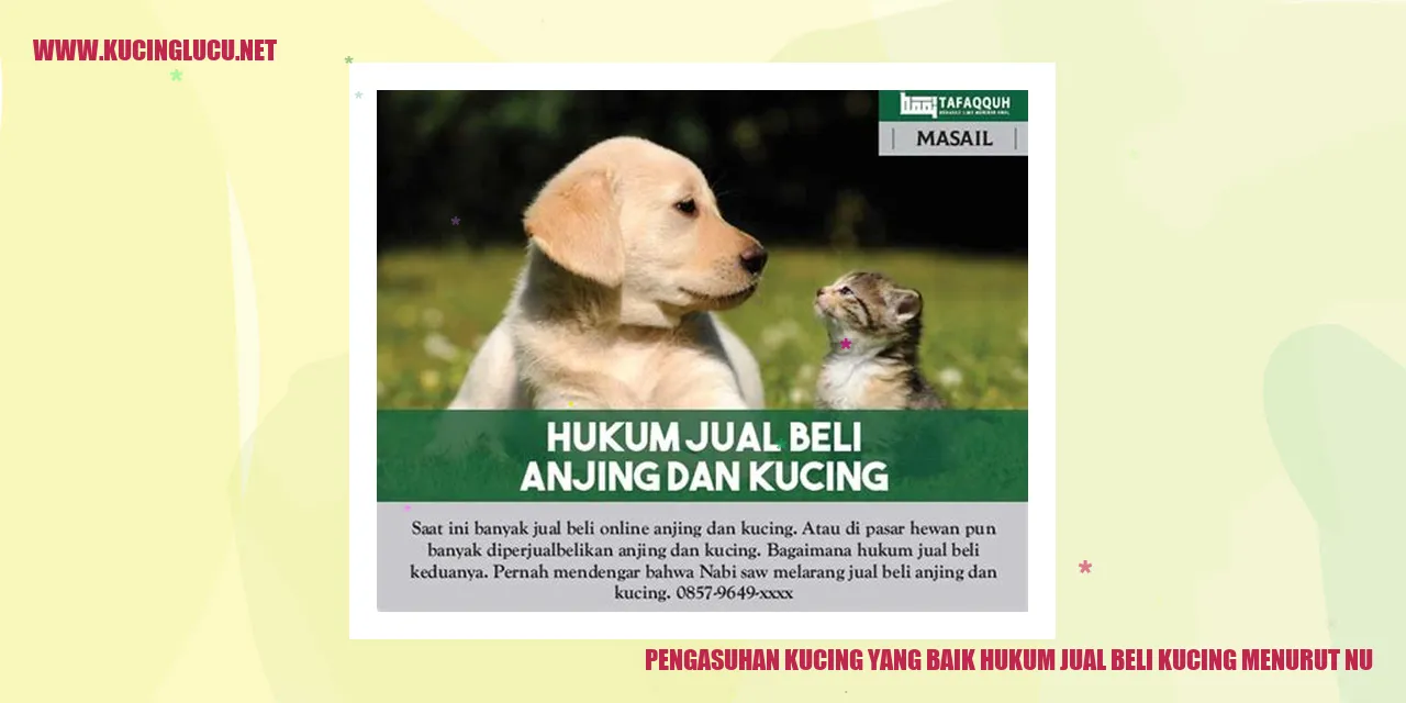 Gambar Kucing