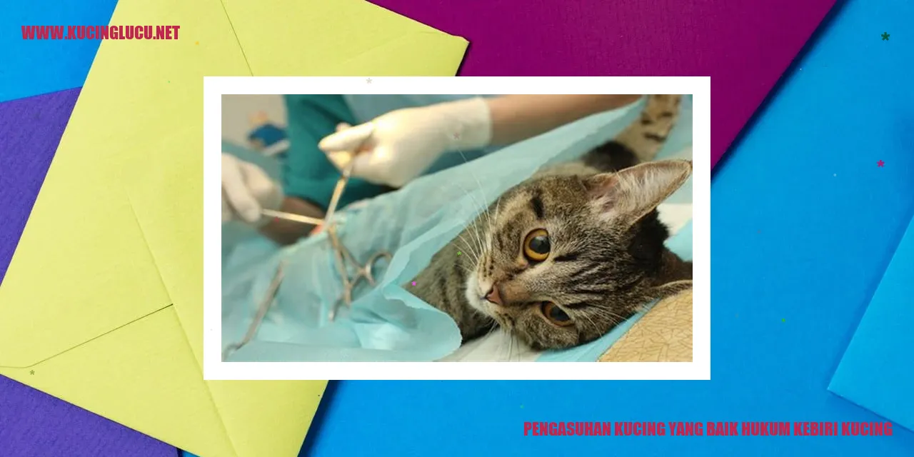 Kucing yang sehat dan bahagia