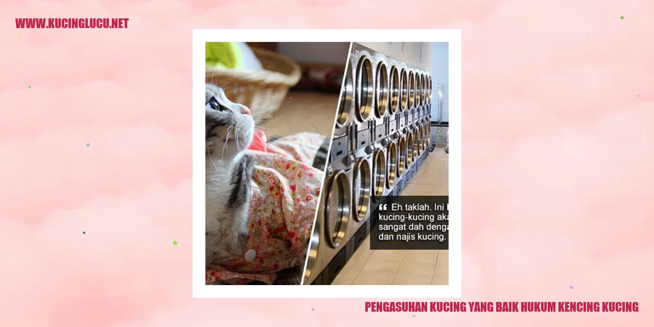 gambar kucing yang sedang buang air