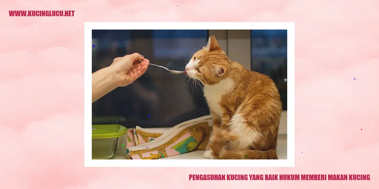 Pengasuhan Kucing yang Baik hukum memberi makan kucing