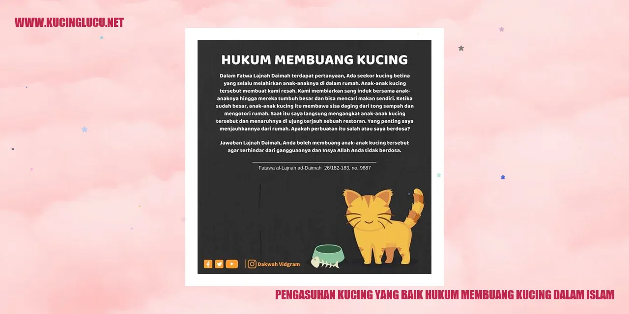 Gambar Kucing