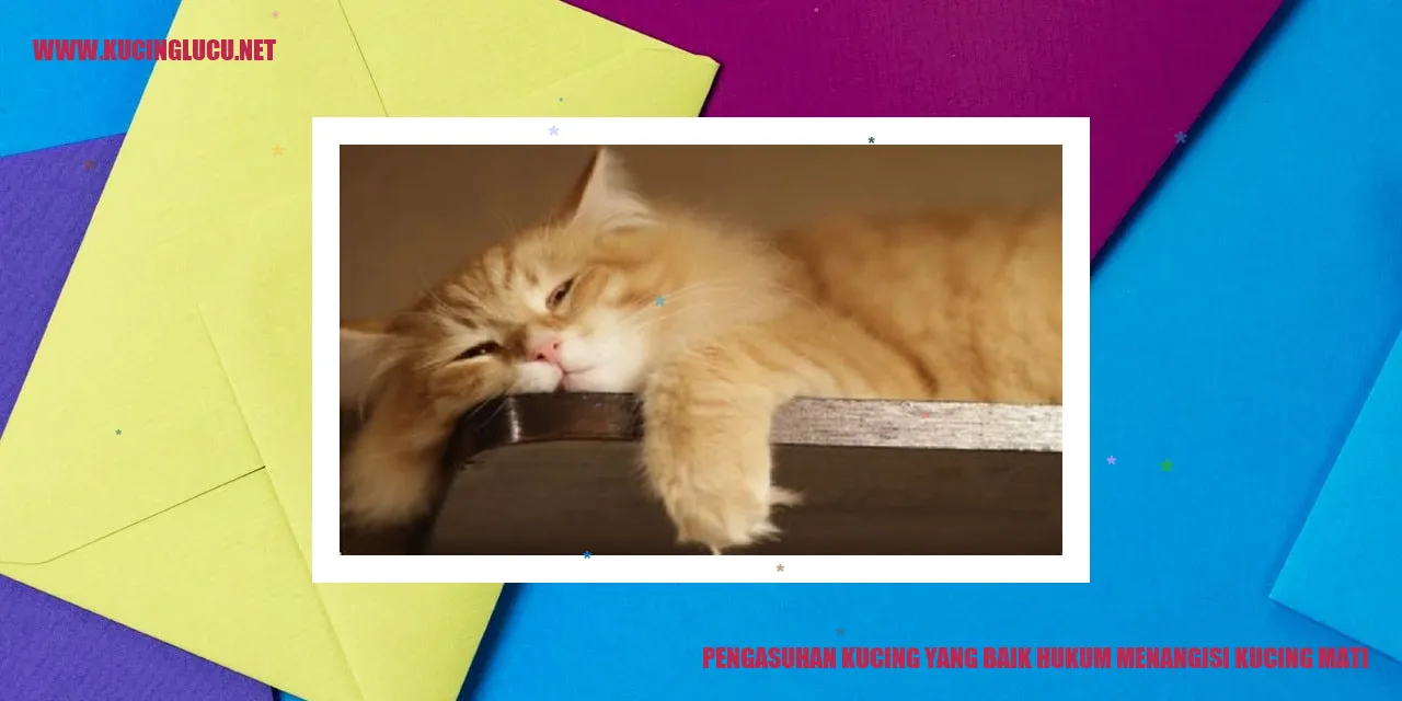 Gambar seekor kucing sedih