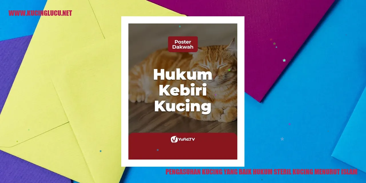 Kucing