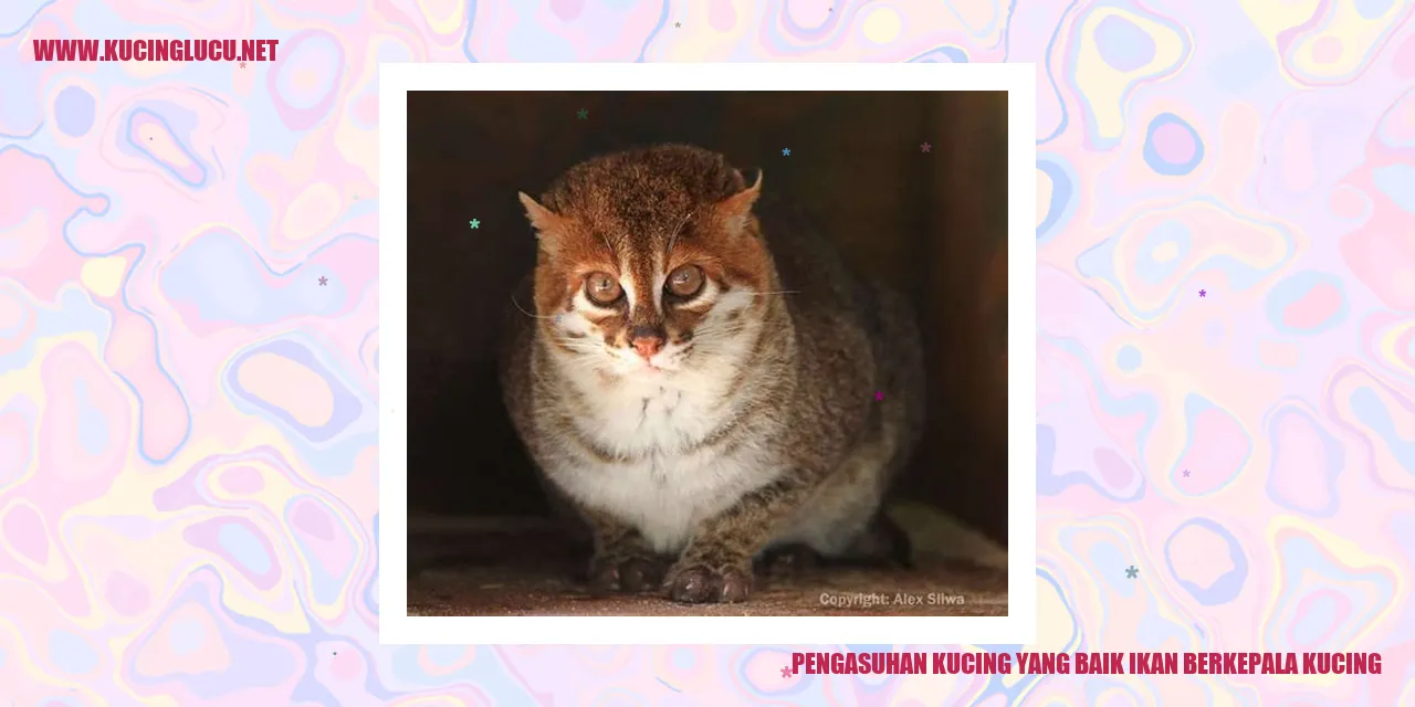 Pengasuhan Kucing yang Baik