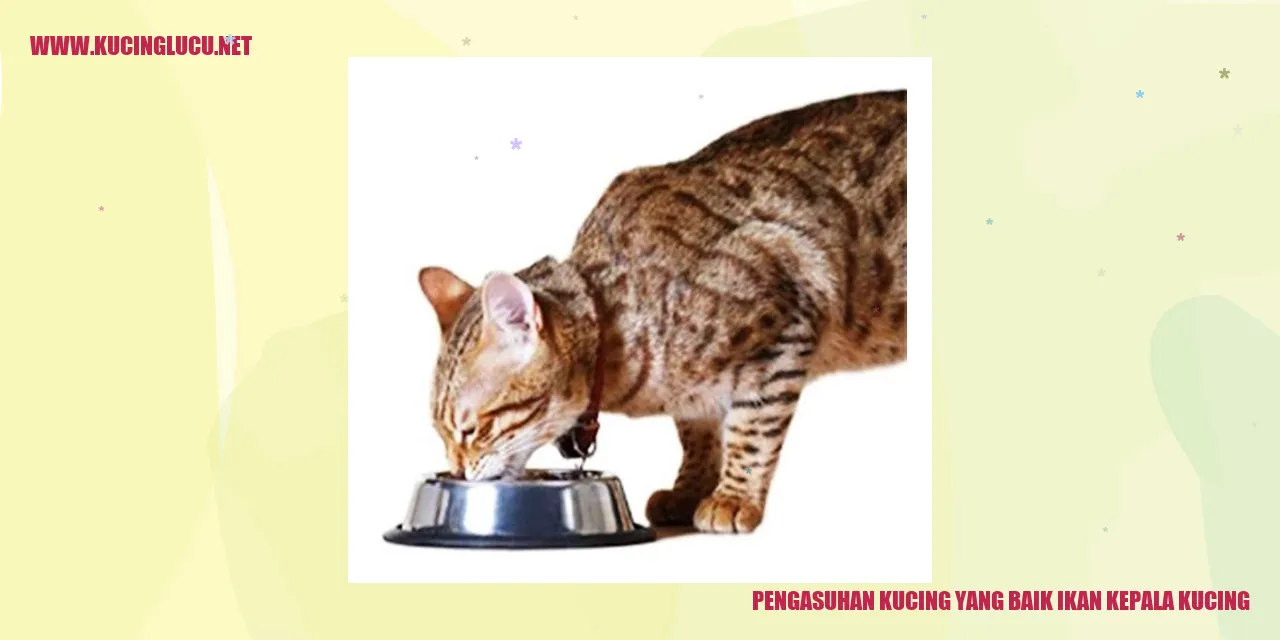 Kucing dengan kepala ikan