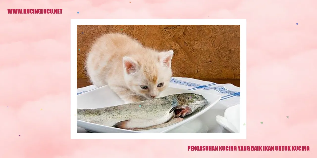 Kucing yang Sehat dan Bahagia