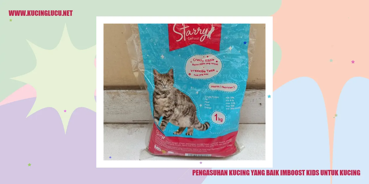 Kucing Lucu