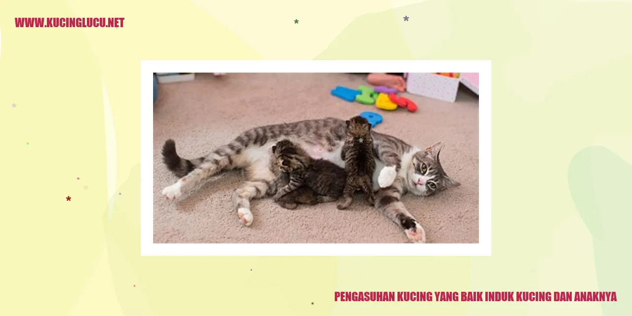 Foto Kucing Induk dan Anaknya