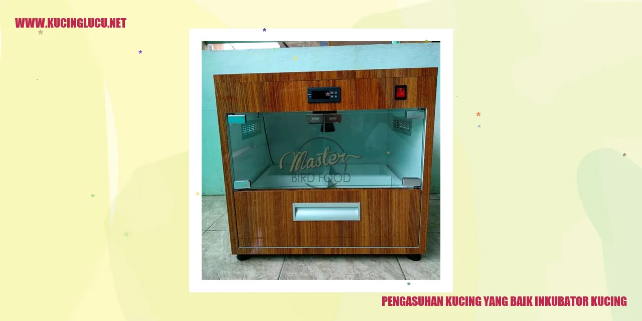 Pengasuhan Kucing yang Baik dengan Inkubator Kucing