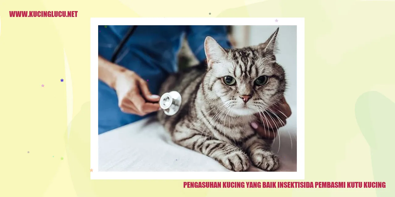 Kucing yang Sehat dan Bebas Kutu