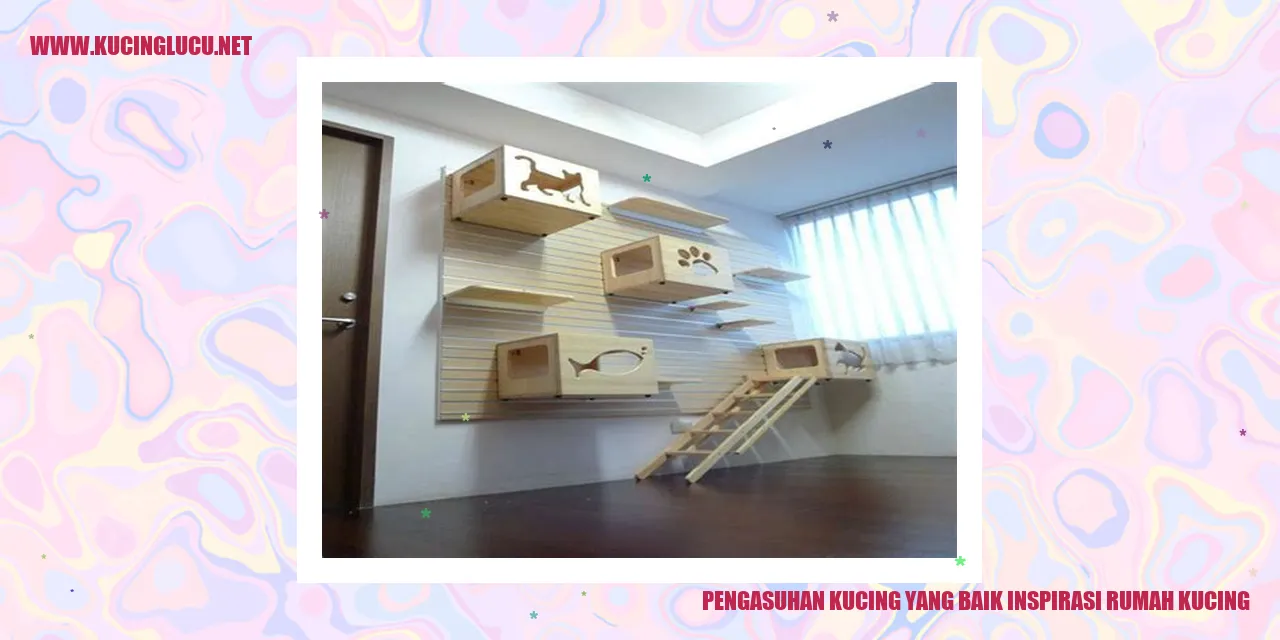 gambar kucing