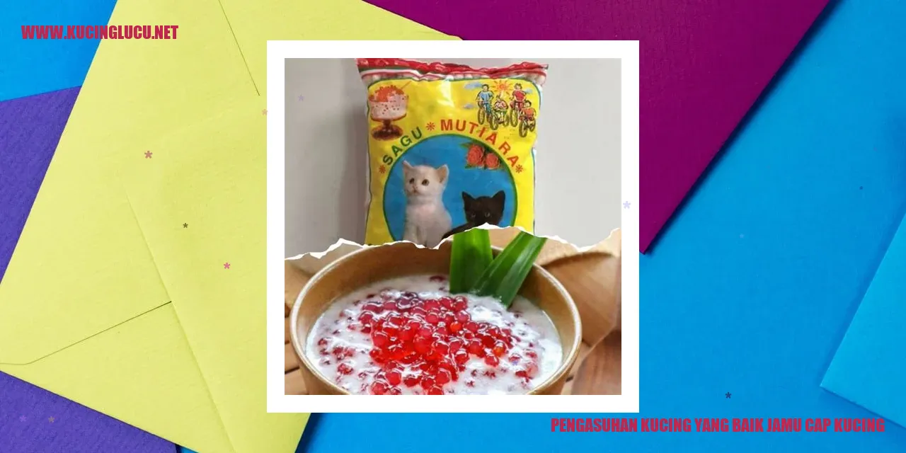 Pengasuhan Kucing yang Baik