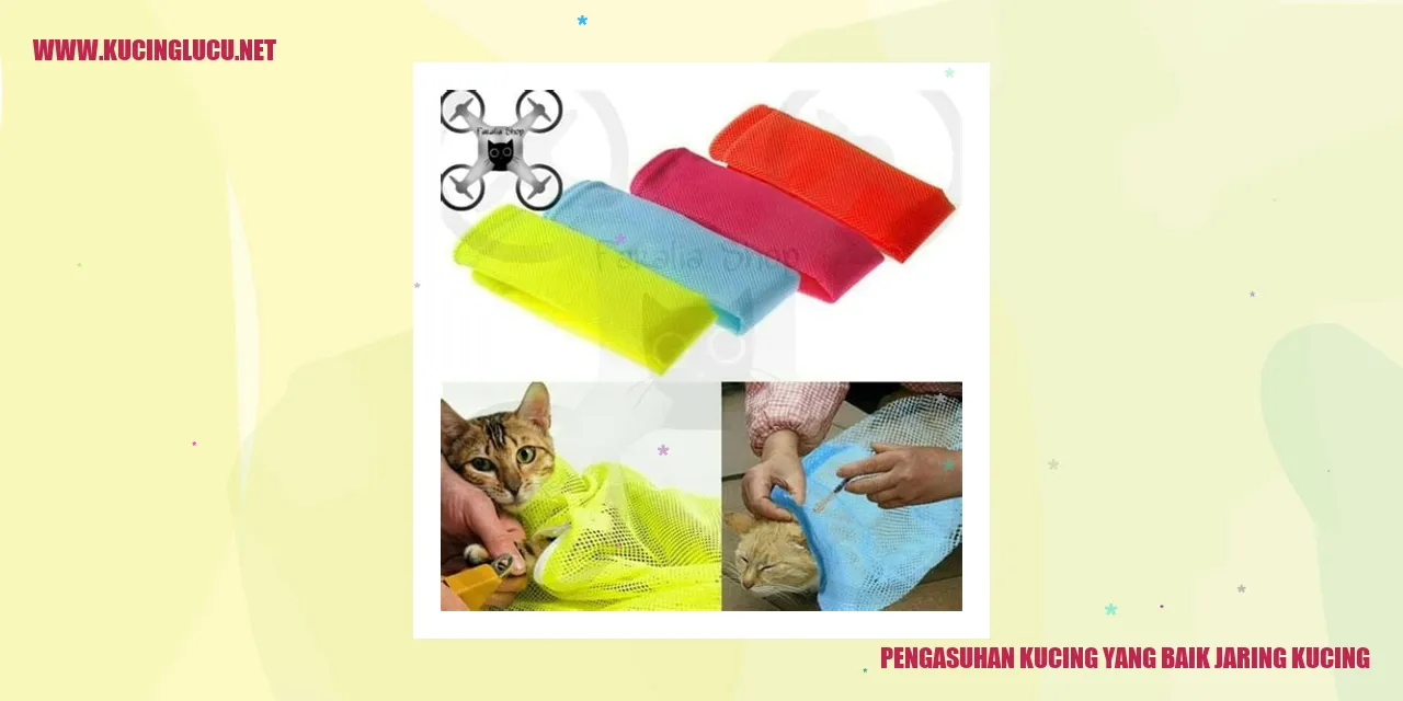 Pengasuhan Kucing yang Baik