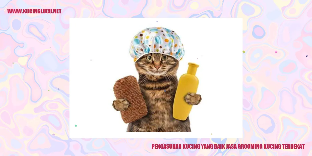 Kucing yang Sehat dan Bahagia