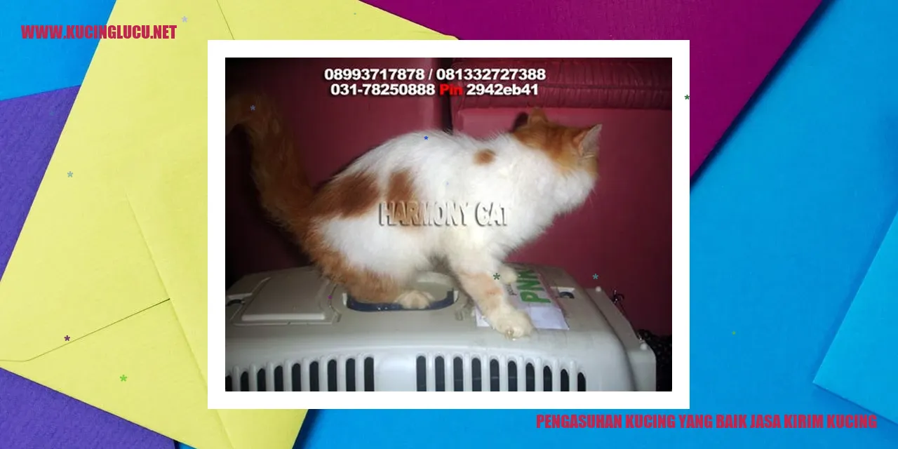 Pengasuhan Kucing yang Baik jasa kirim kucing