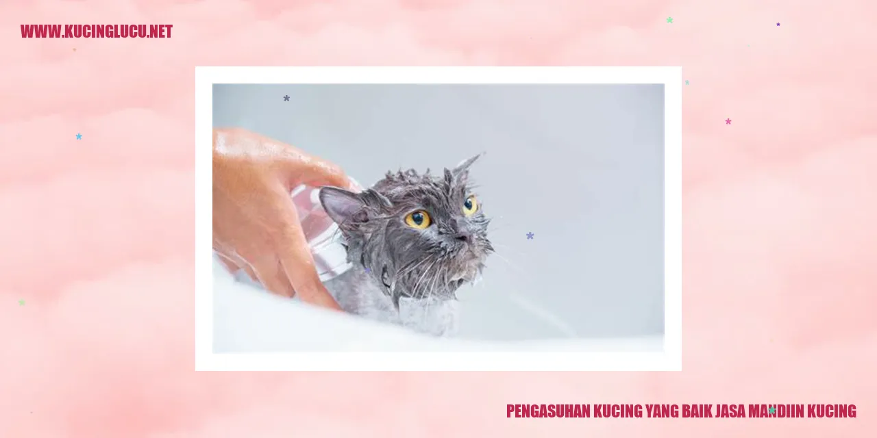 Kucing Mandi