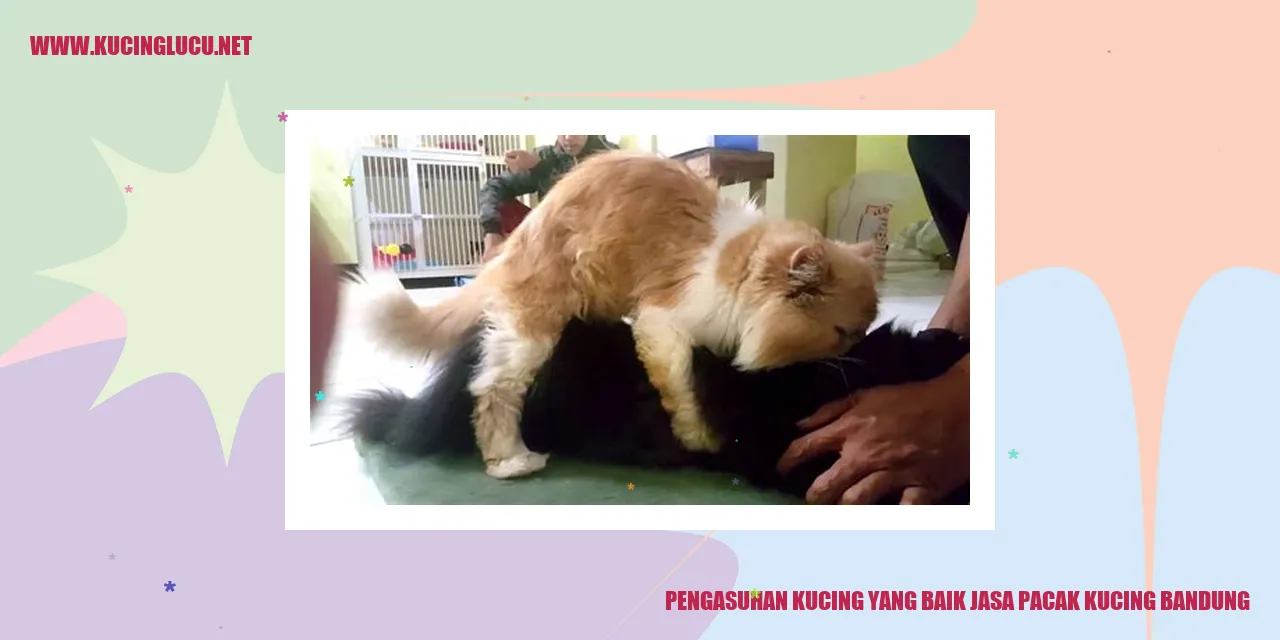 Gambar Kucing yang Sehat
