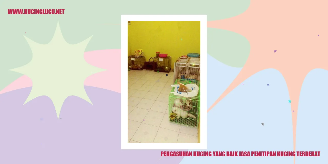 Pengasuhan Kucing yang Baik