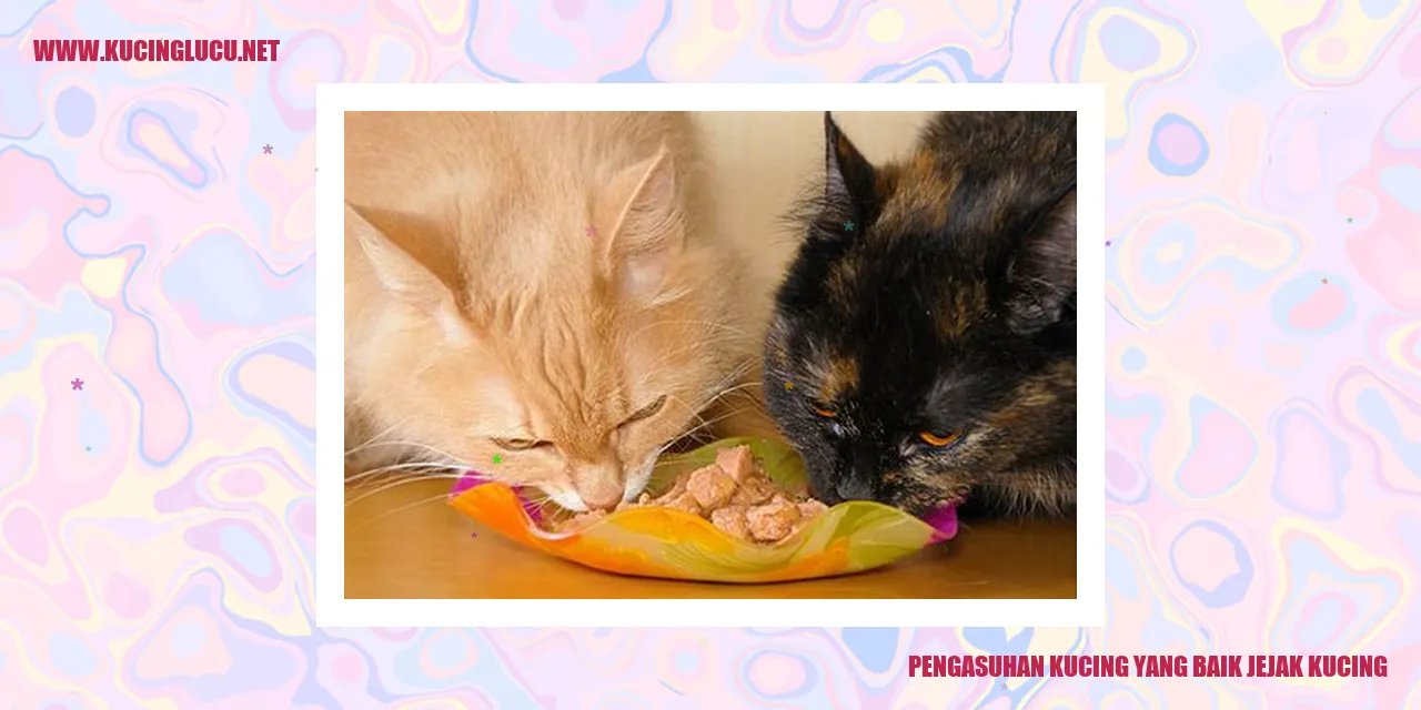 kucing yang bahagia