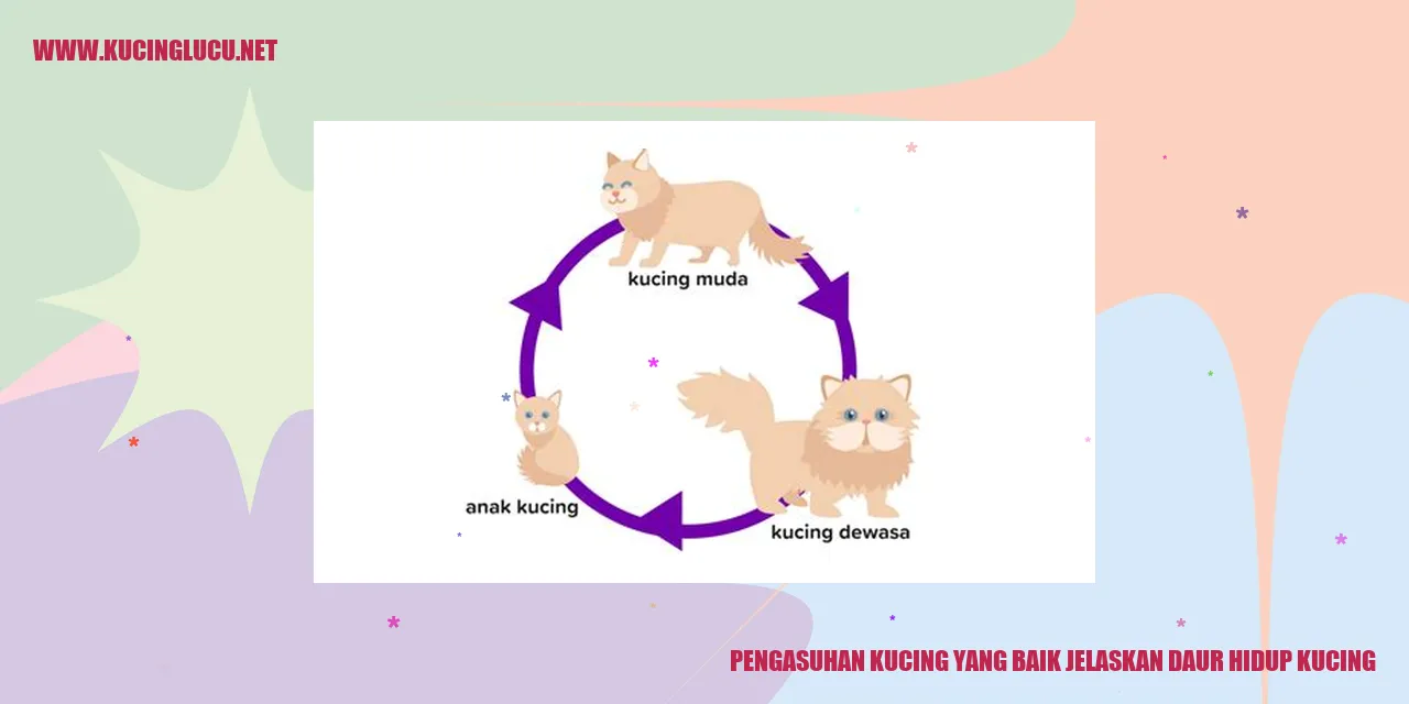Pengasuhan Kucing yang Baik jelaskan daur hidup kucing