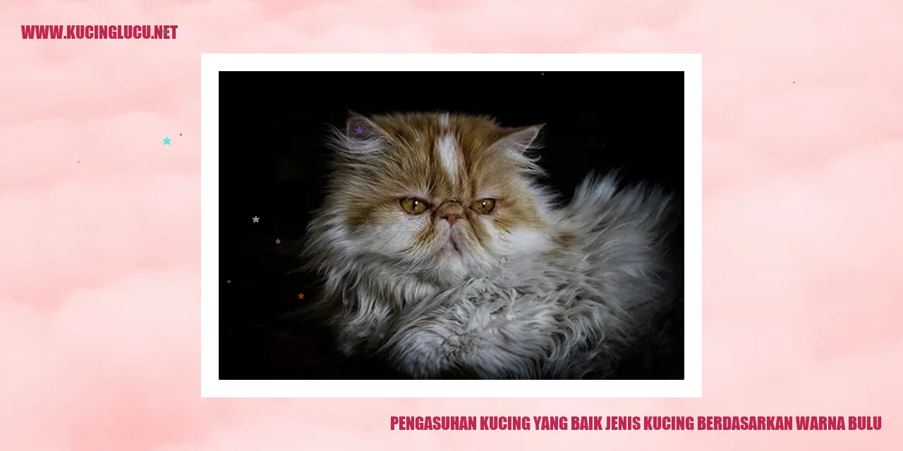 Kucing dengan berbagai warna bulu
