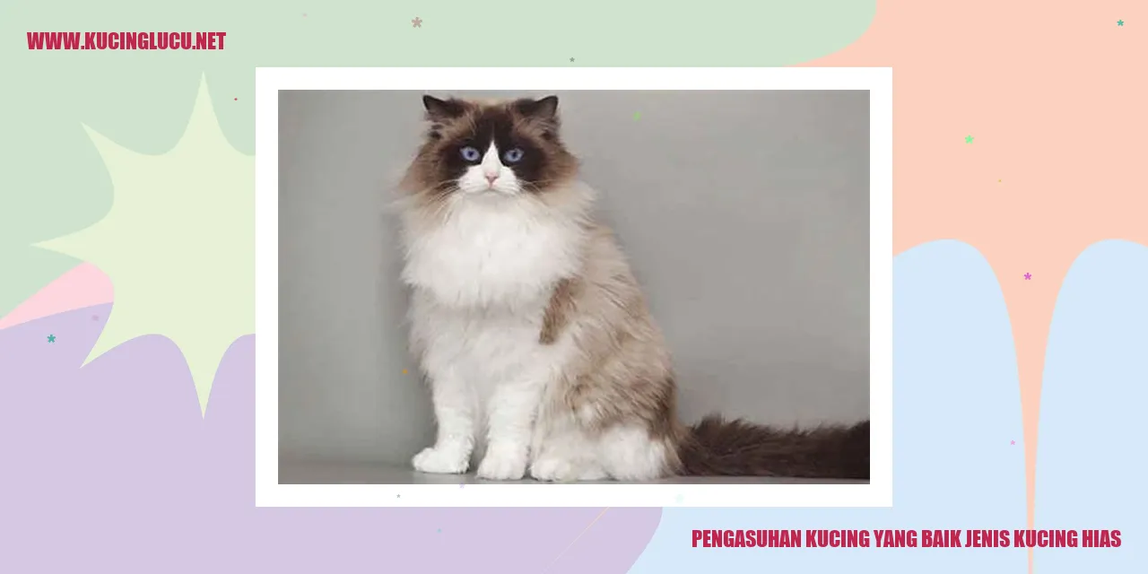 Kucing Hias