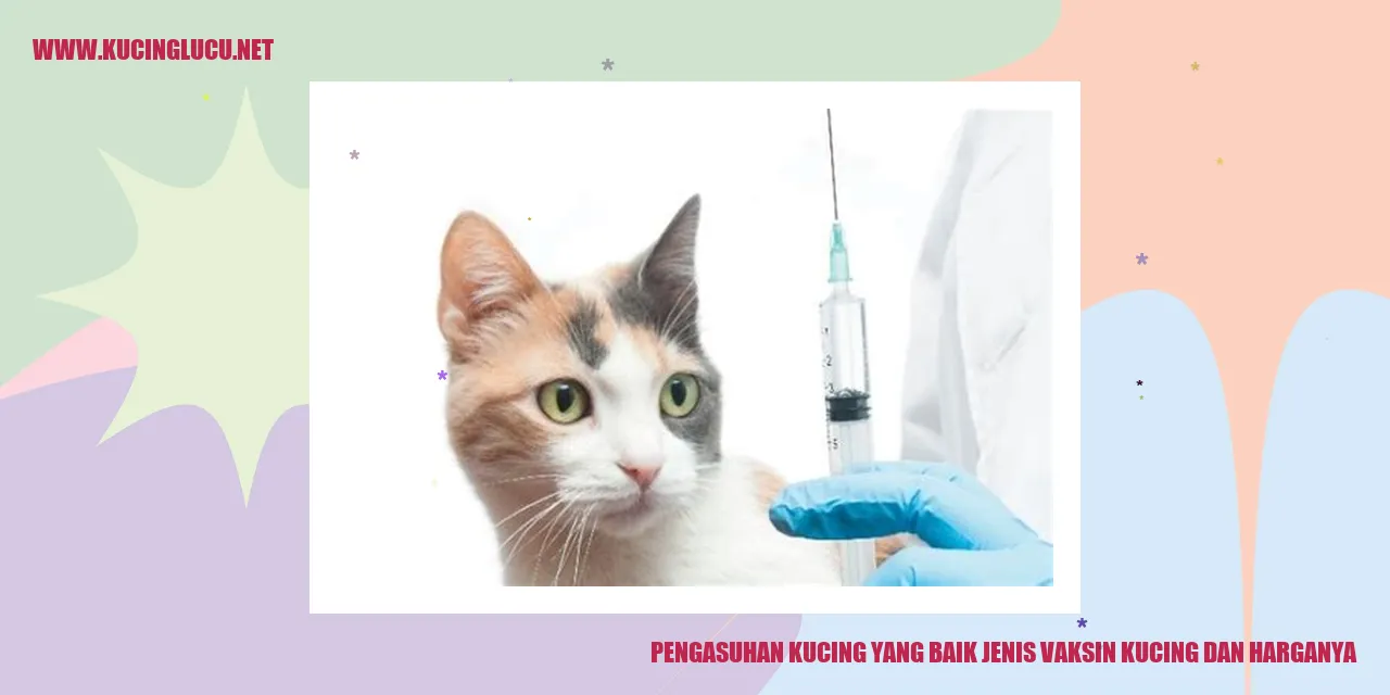 Pengasuhan Kucing yang Baik