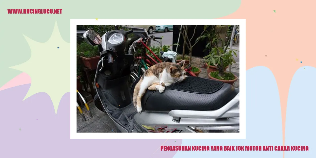 Pengasuhan Kucing yang Baik jok motor anti cakar kucing