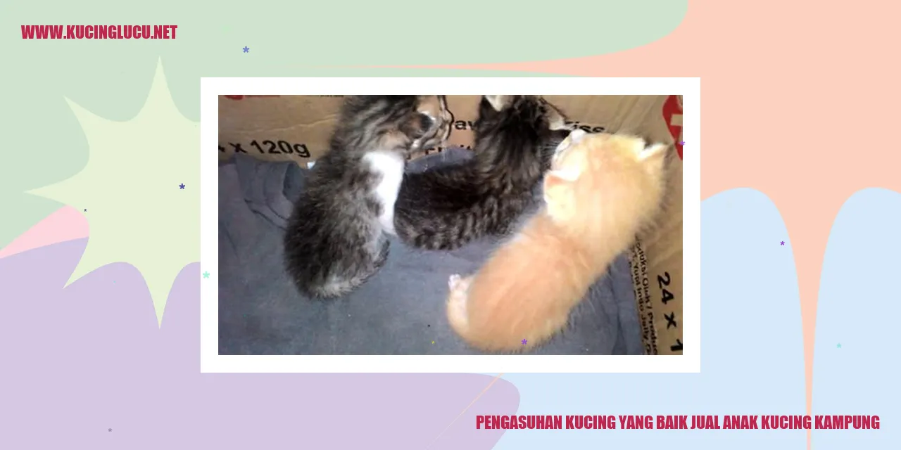 Kucing yang Baik