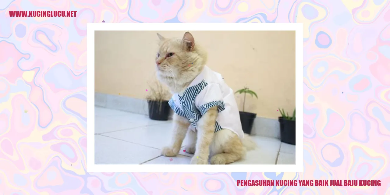 Gambar kucing menggemaskan