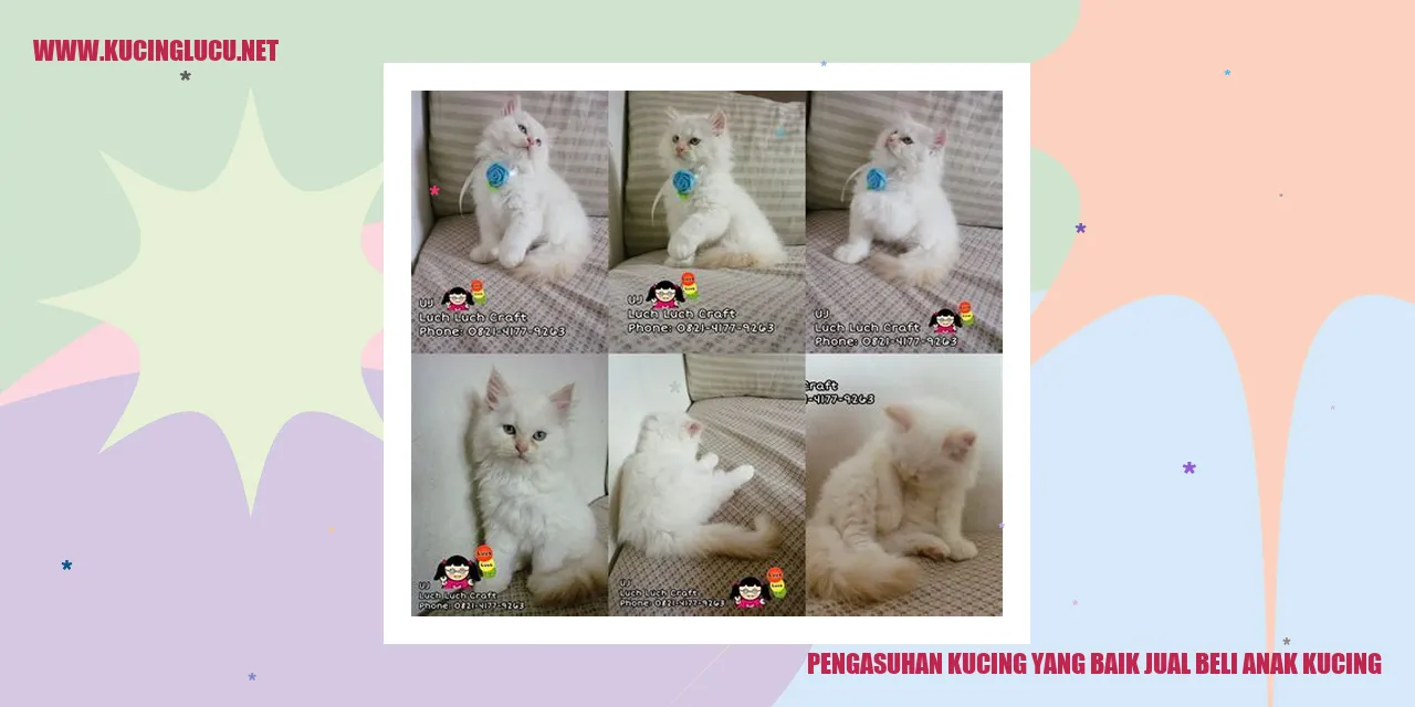 Kucing yang Bahagia