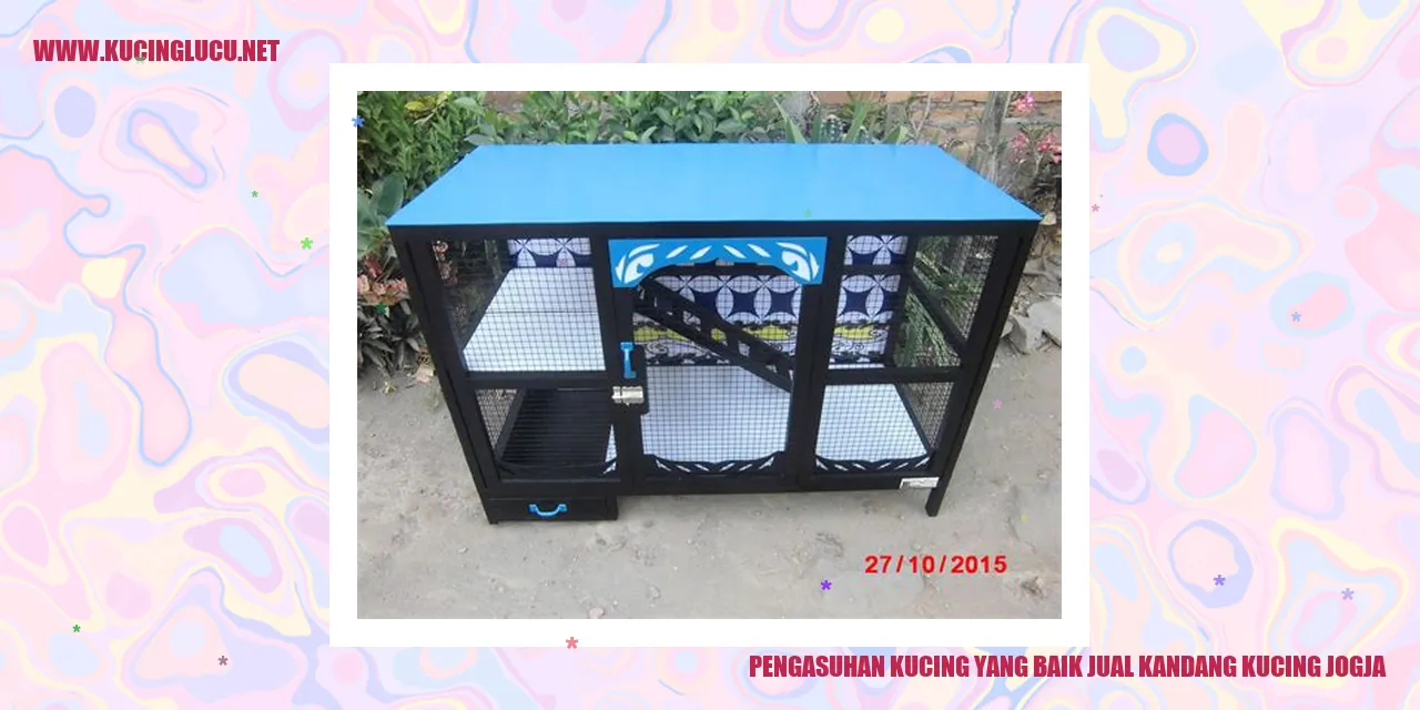 Kucing yang Bahagia di Kandang Kucing Jogja