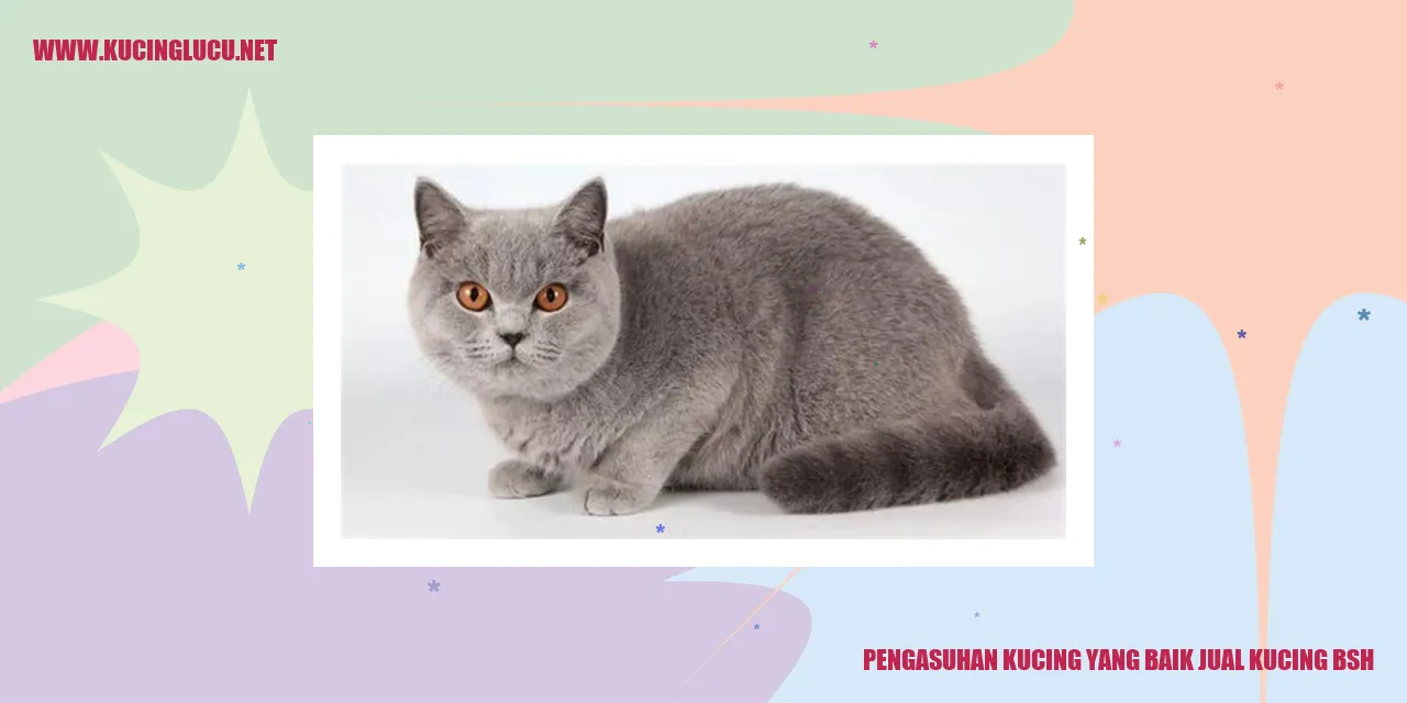 Gambar Kucing Menggemaskan