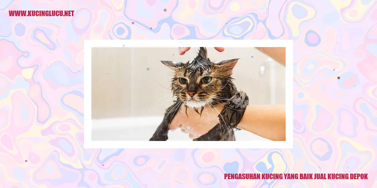 Kucing yang Sehat dan Bahagia
